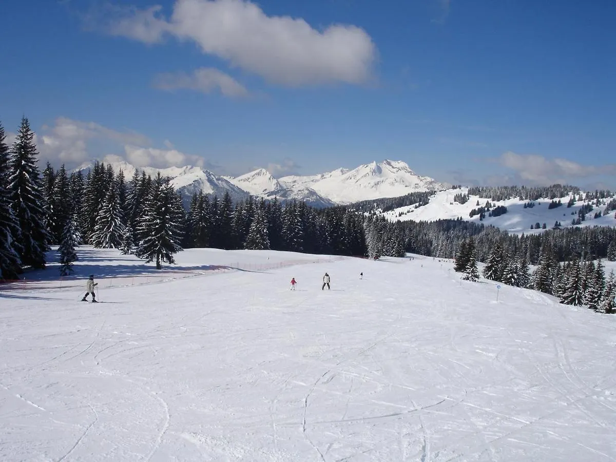 Chalet Etoile Saint-Jean-dʼAulps France
